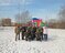 ВПК РОМАНТИКИ